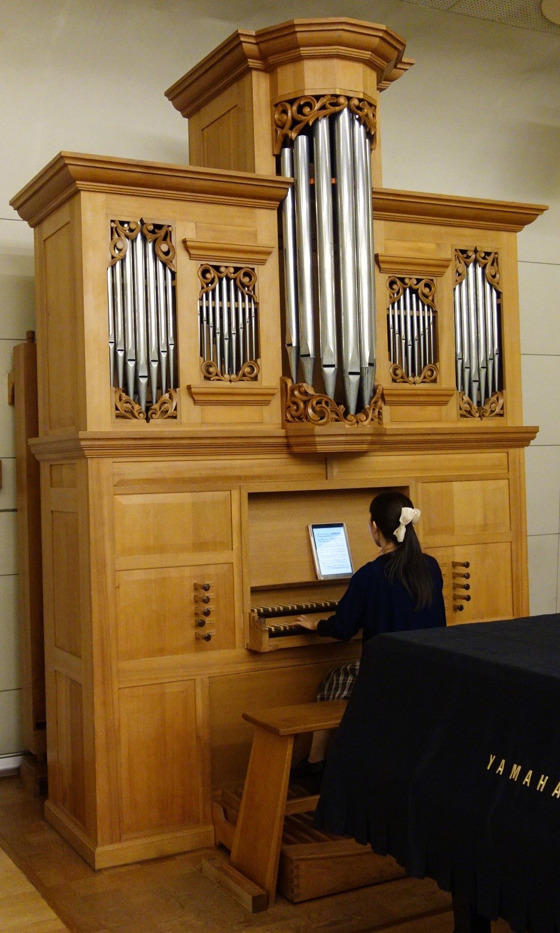 organ2.jpg