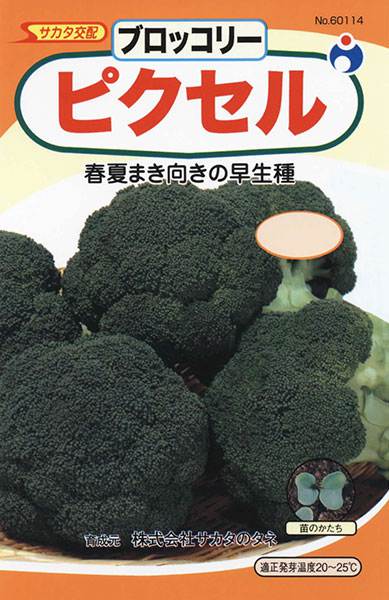 ブロッコリー種子 ピクセル コート種子5000粒×2ケ ブロッコリー種子