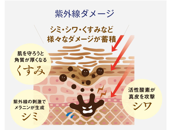 美白美容液の薬用クリアホワイトにング（100ml）｜ヴァーナル＜公式＞