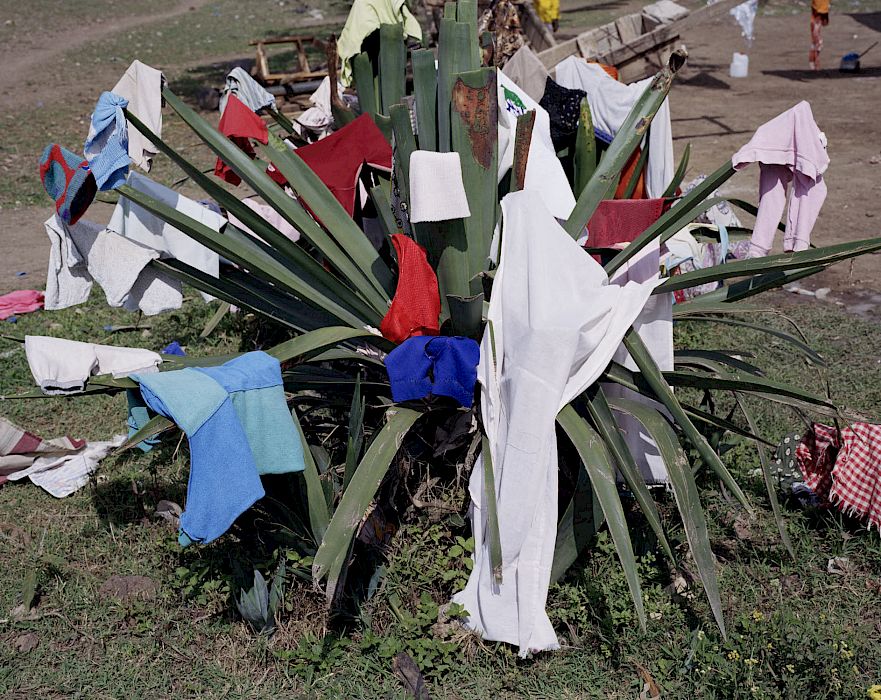 Viviane Sassen • works • Parasomnia