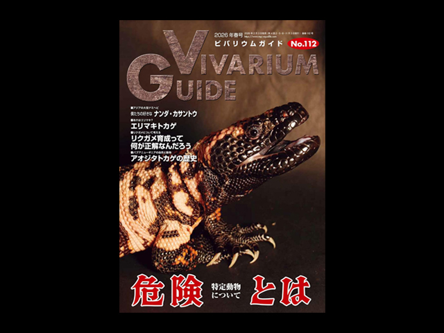 ビバリウムガイド(Vivarium Guide) エムピージェー(MPJ) 販売 通販