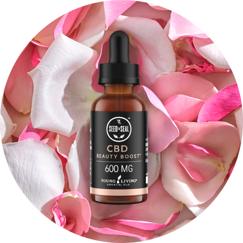 CBD コレクション｜前回ご好評いただいたCBDコレクションがこの冬再