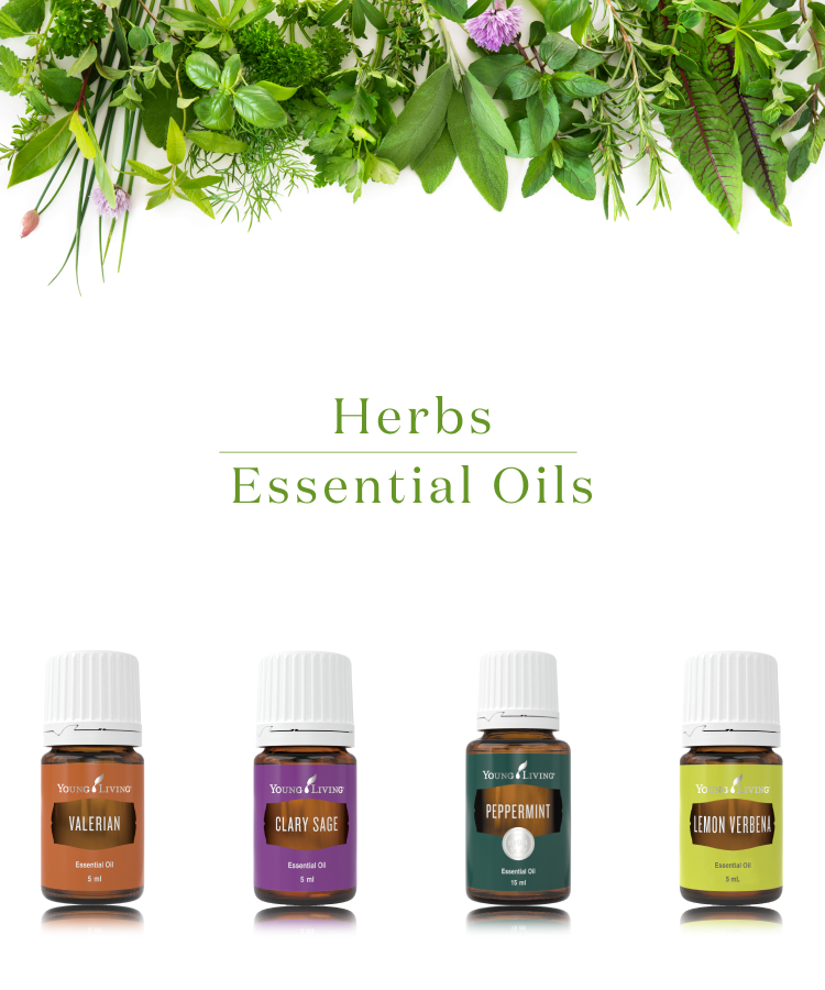 ハーブの香りのエッセンシャルオイル - ヤング・リビング 公式ブログ