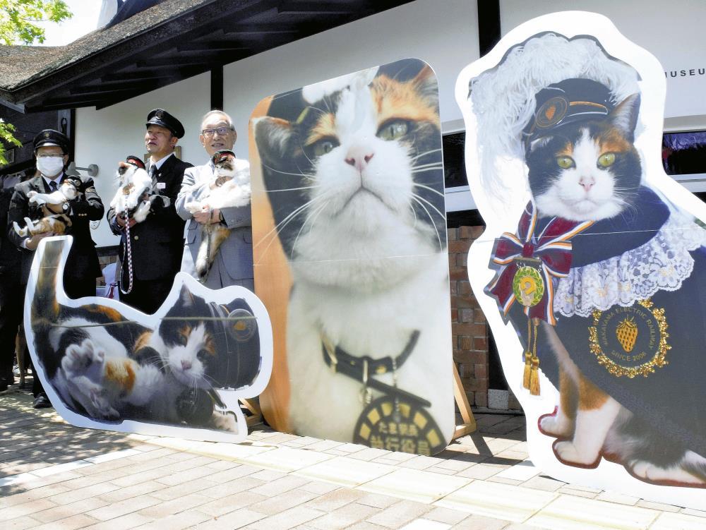 和歌山電鉄の初代猫駅長「たま」のパネル、3駅に…ポストカードが