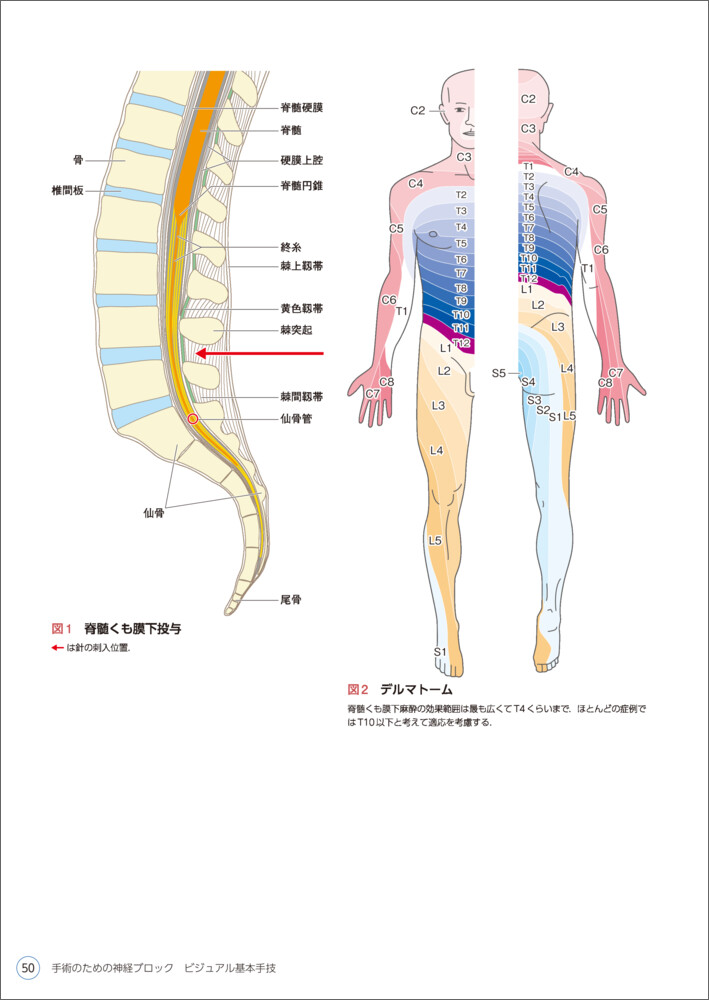 手術のための神経ブロック ビジュアル基本手技〜麻酔科医が知りたい