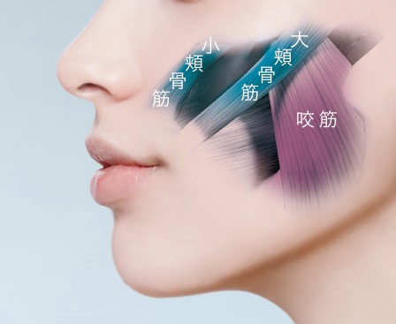 メディリフト アクア EX』 2023年4月中旬より店頭発売 | ヤーマン株式会社