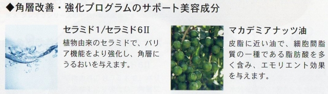 クレオリ24コハクミルクローション 山野愛子 ヤマノ肌 山野愛子