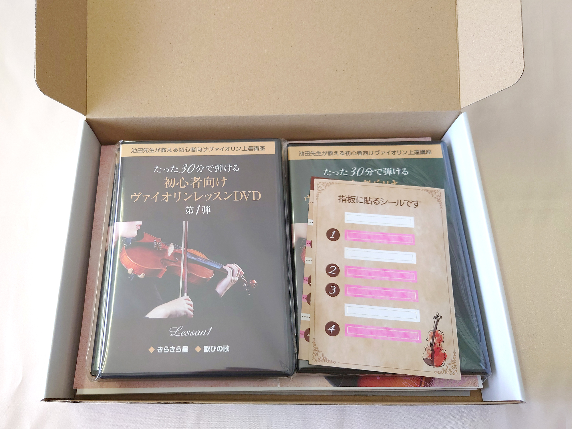 30分で弾けた！池田晴子の初心者向けヴァイオリンレッスンDVDを体験