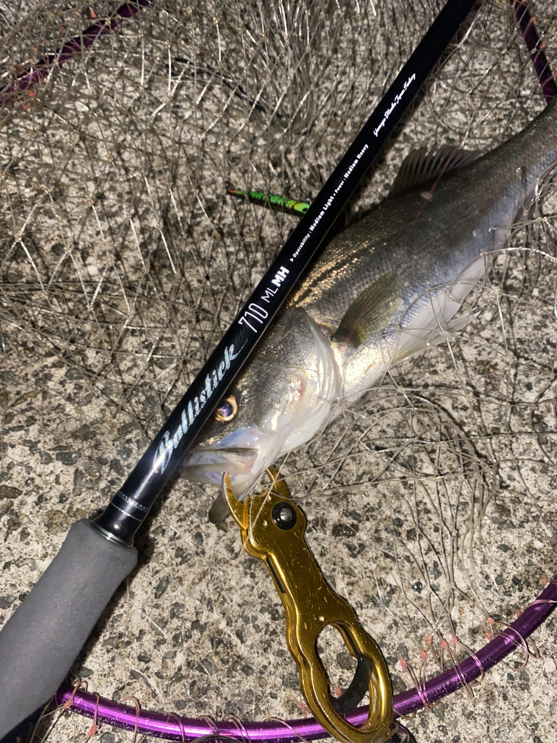 兵庫県】シーバス Ballistick 710ML-MH | YAMAGA BlanksYAMAGA Blanks