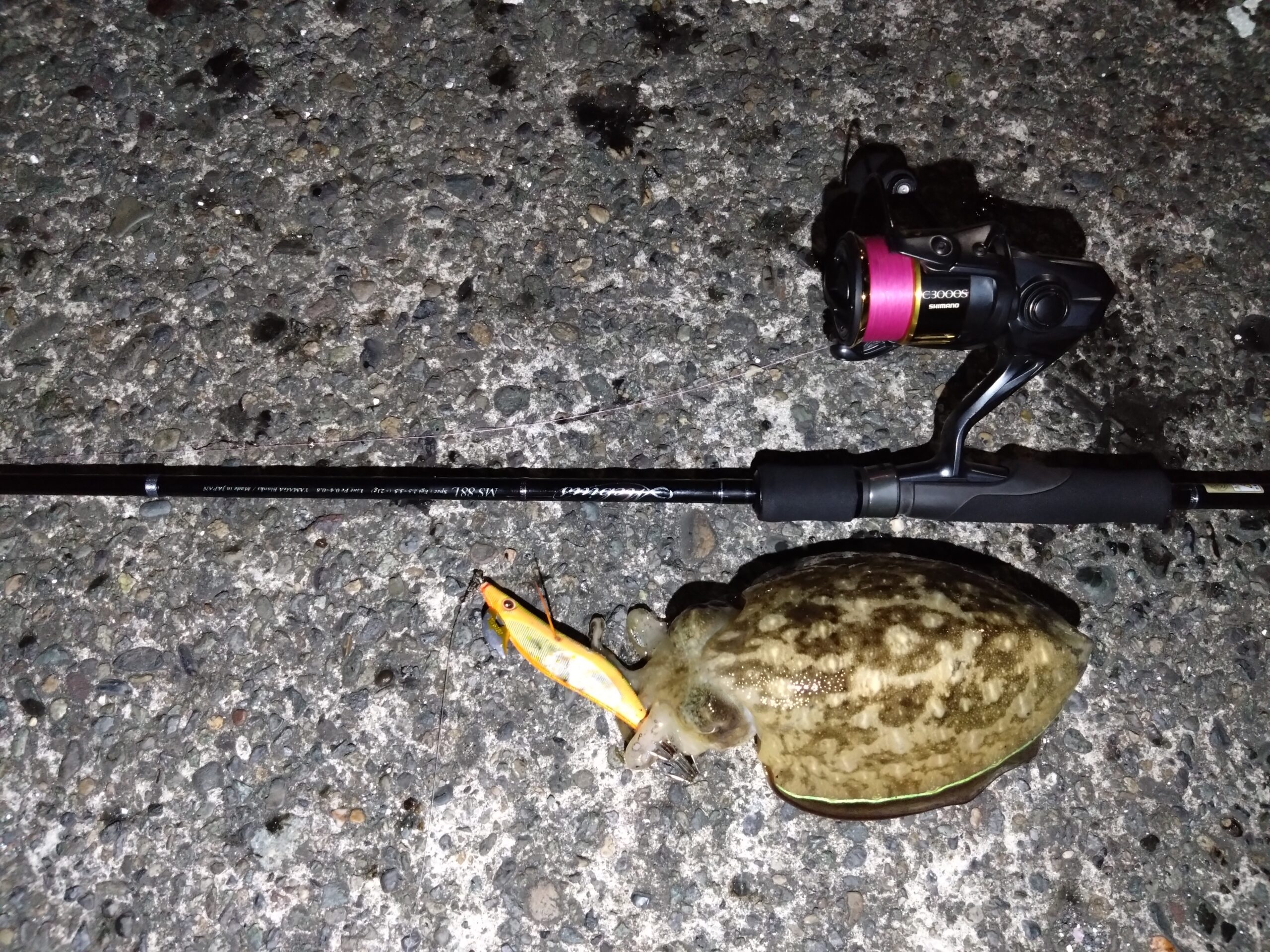 神奈川県】エギング Mebius 88L | YAMAGA BlanksYAMAGA Blanks