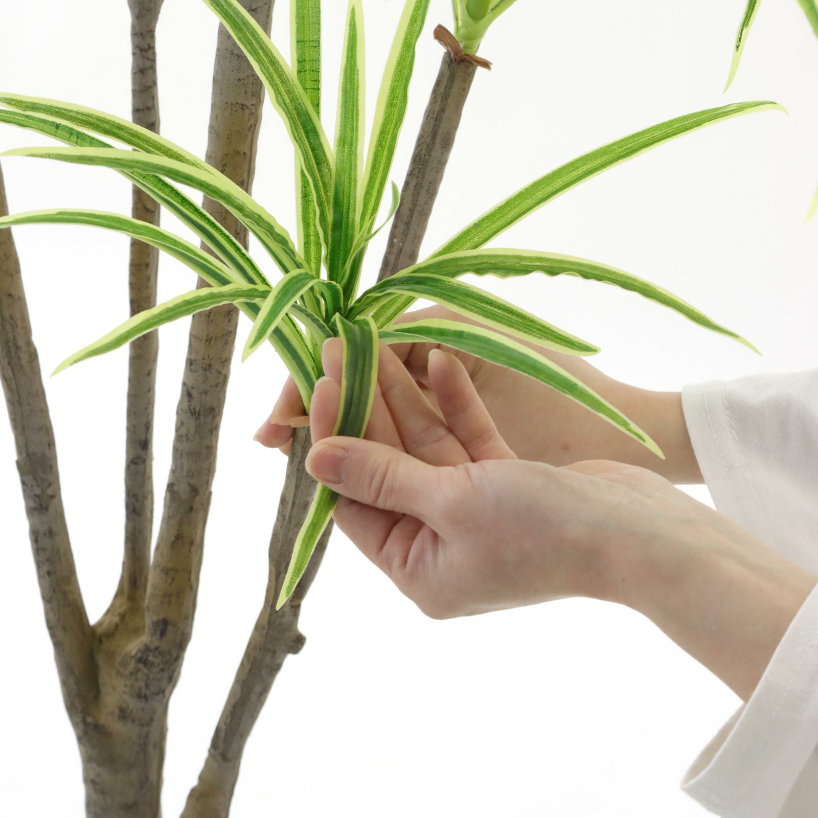 光触媒 人工観葉植物 ウォールグリーン フェイクグリーン コンシンネ