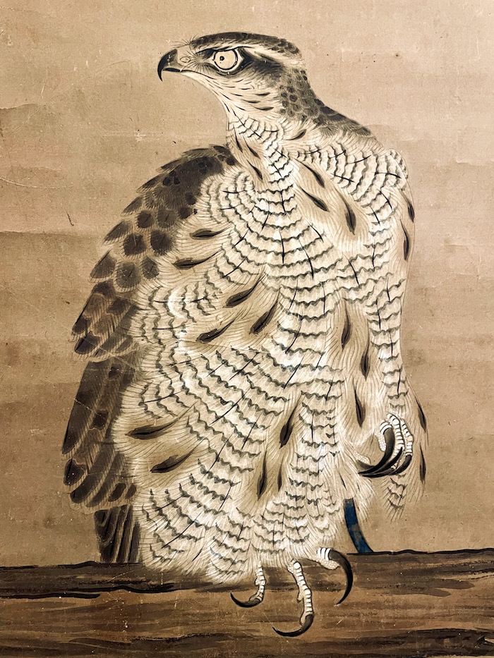 曽我直庵 “架鷹図” 紙本 着色 近藤東来箱書 / Soga Chokuan “Tethered