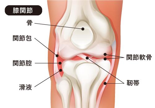 関節痛の原因と対処法