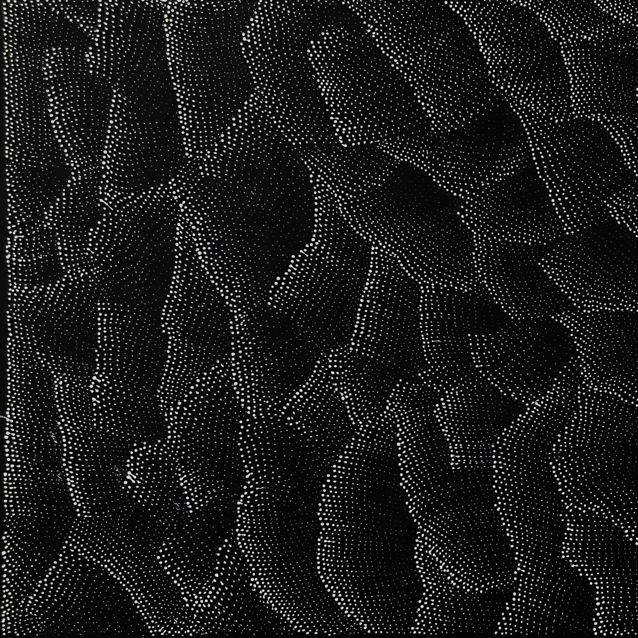 LILY KELLY NAPANGARDI – Altyerre Aboriginal Art