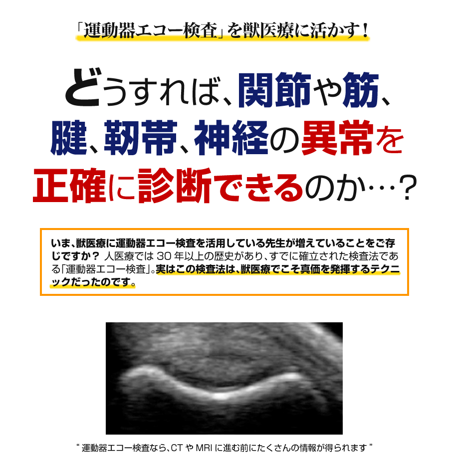 これから始める！犬の運動器エコーテクニック | 株式会社 医療情報研究所