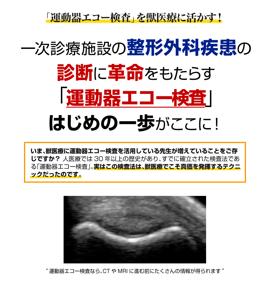 これから始める！犬の運動器エコーテクニック | 株式会社 医療情報研究所