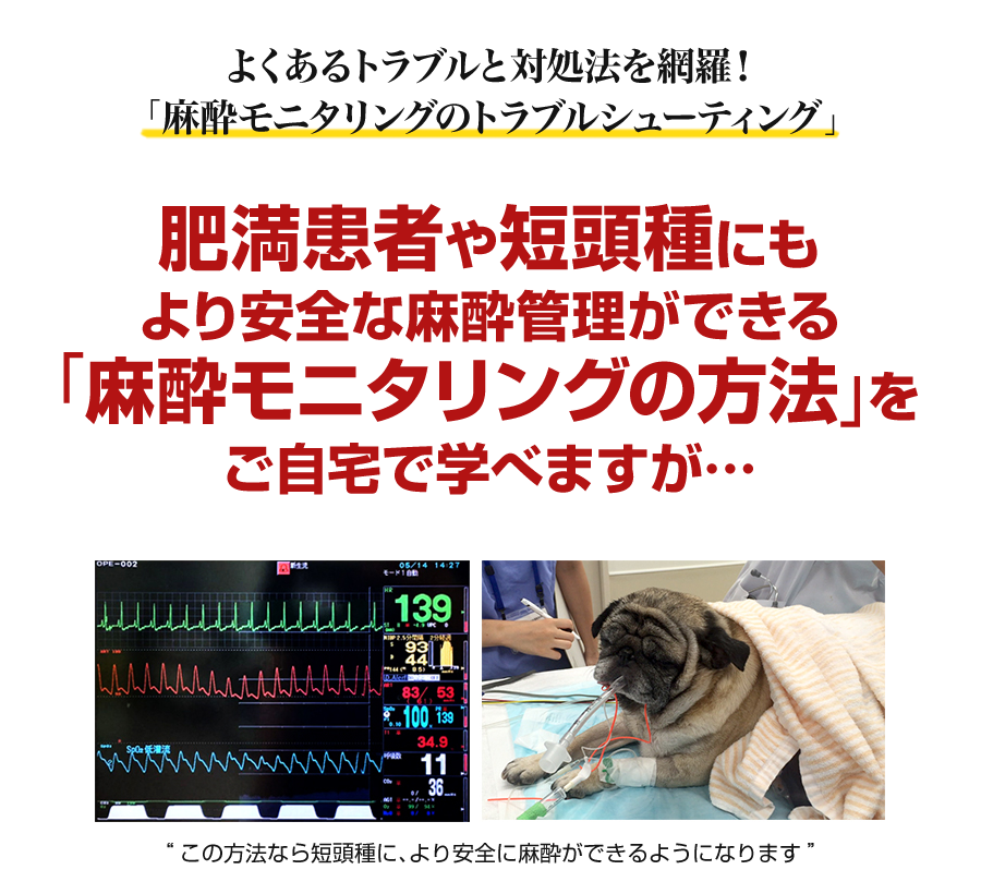 麻酔モニタリングのトラブルシューティング | 株式会社 医療情報研究所