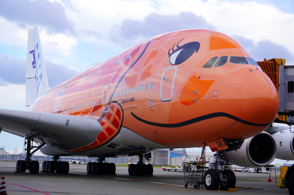 航空機・ヘリコプター ANA A380-800 F-WWSH 航空機・ヘリコプター ANA