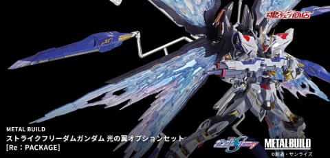 METAL BUILD ストライクフリーダムガンダム 光の翼オプションセット」7