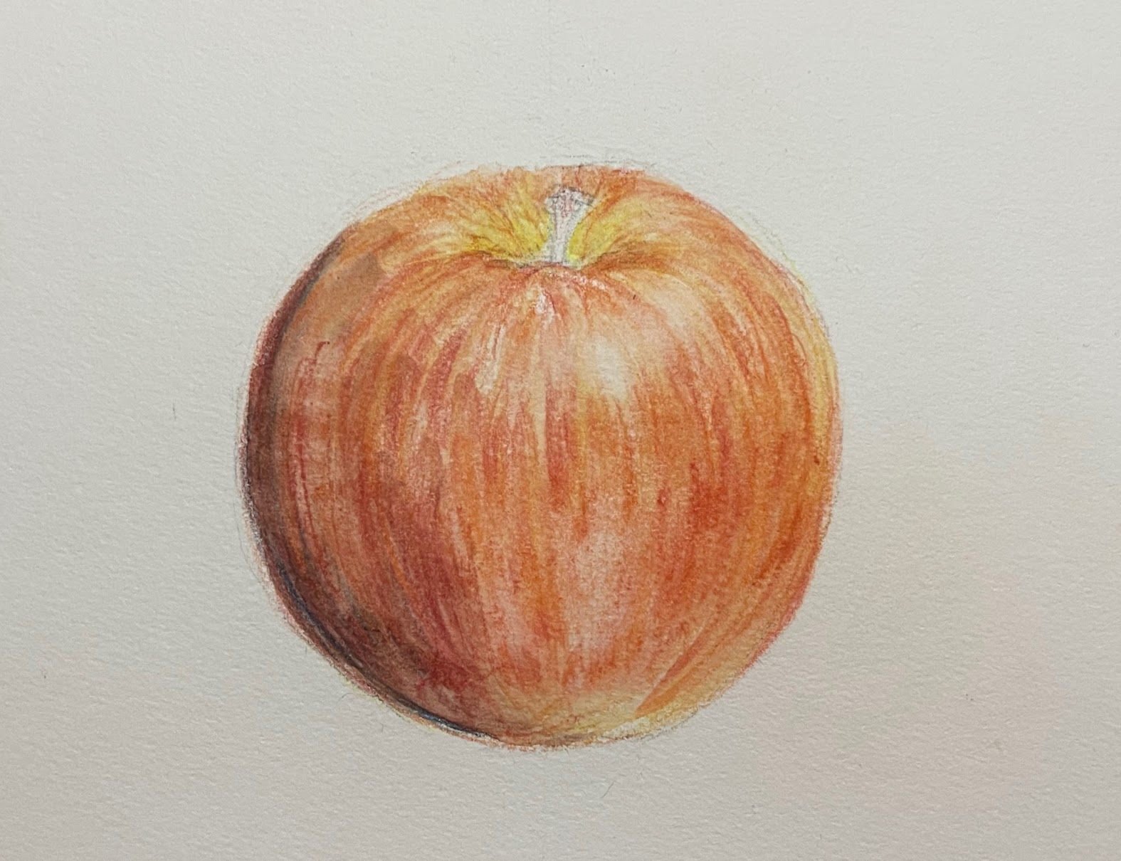 動画を参考に水彩色鉛筆で