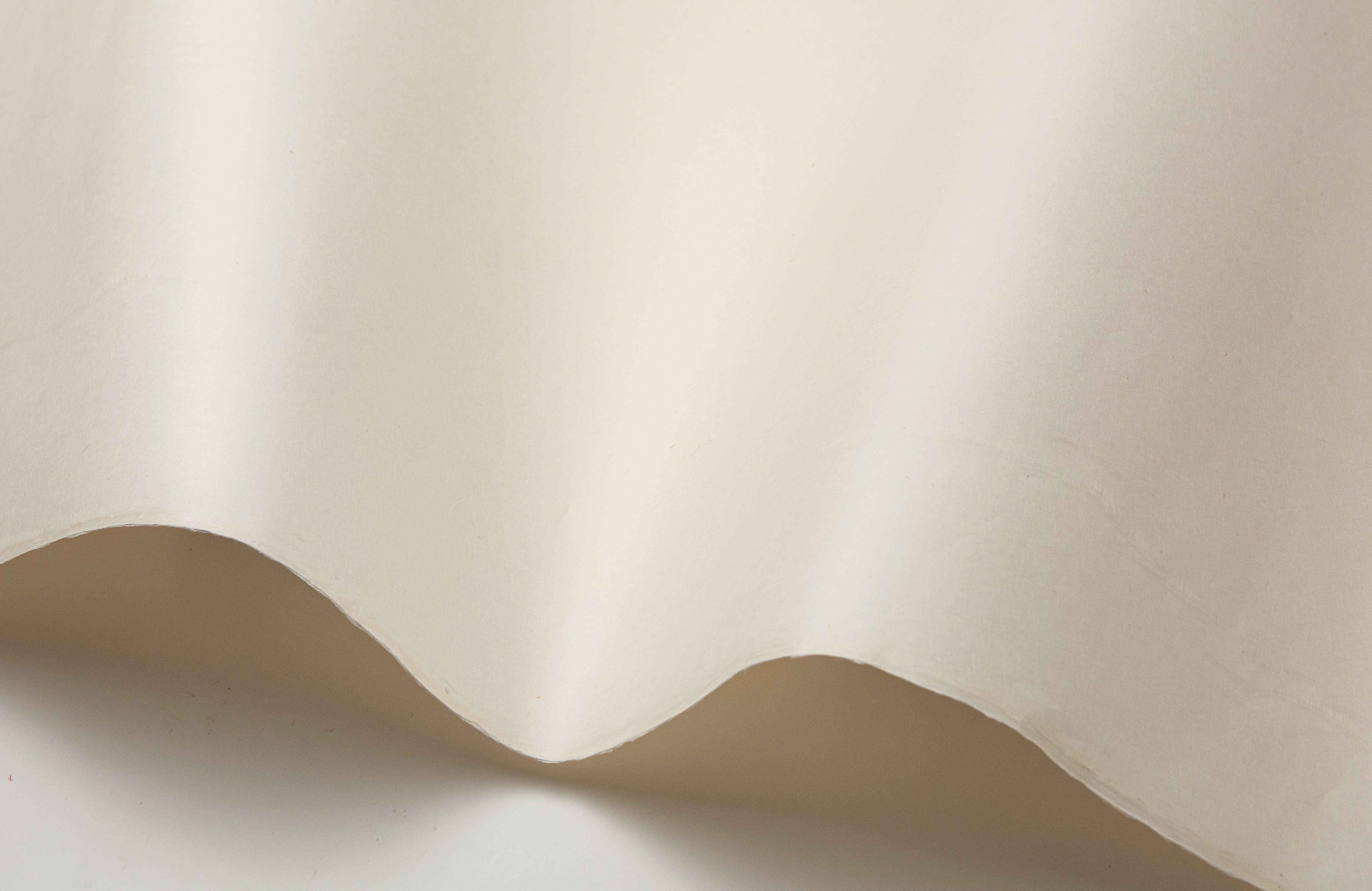 鳥の子紙とは？→紙の王様ともいわれる雁皮紙です 【鳥の子紙 概説編