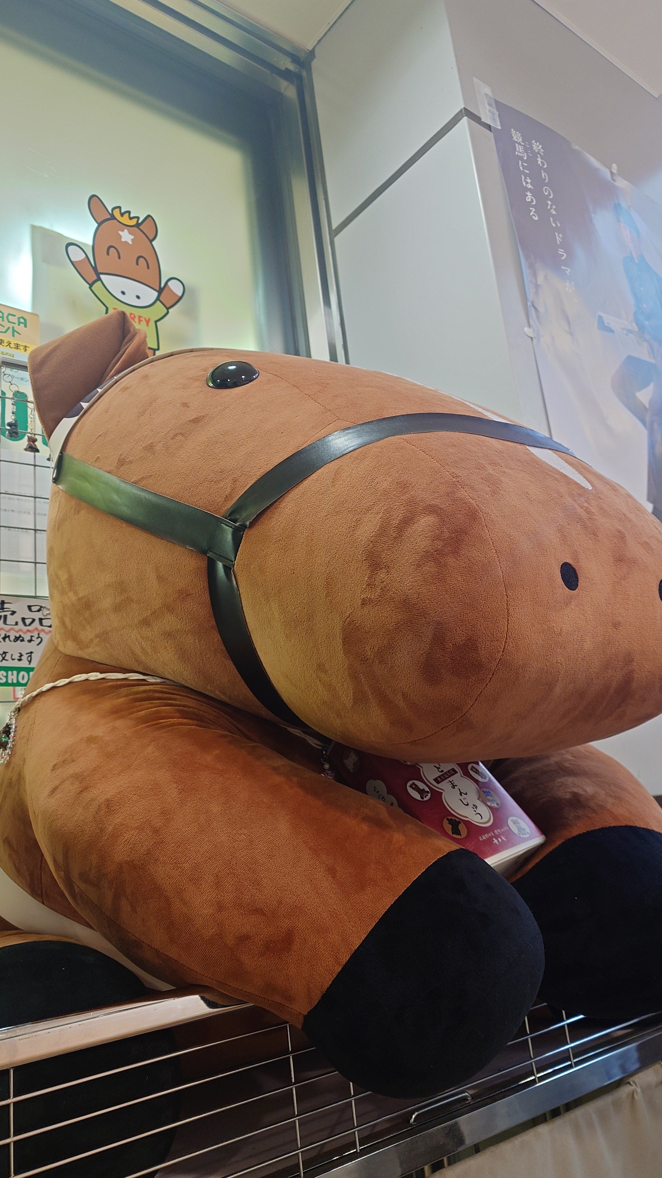 アイドルホースぬいぐるみ 22世代(執筆中)｜デカル(ΦωΦ＊)のアイドル