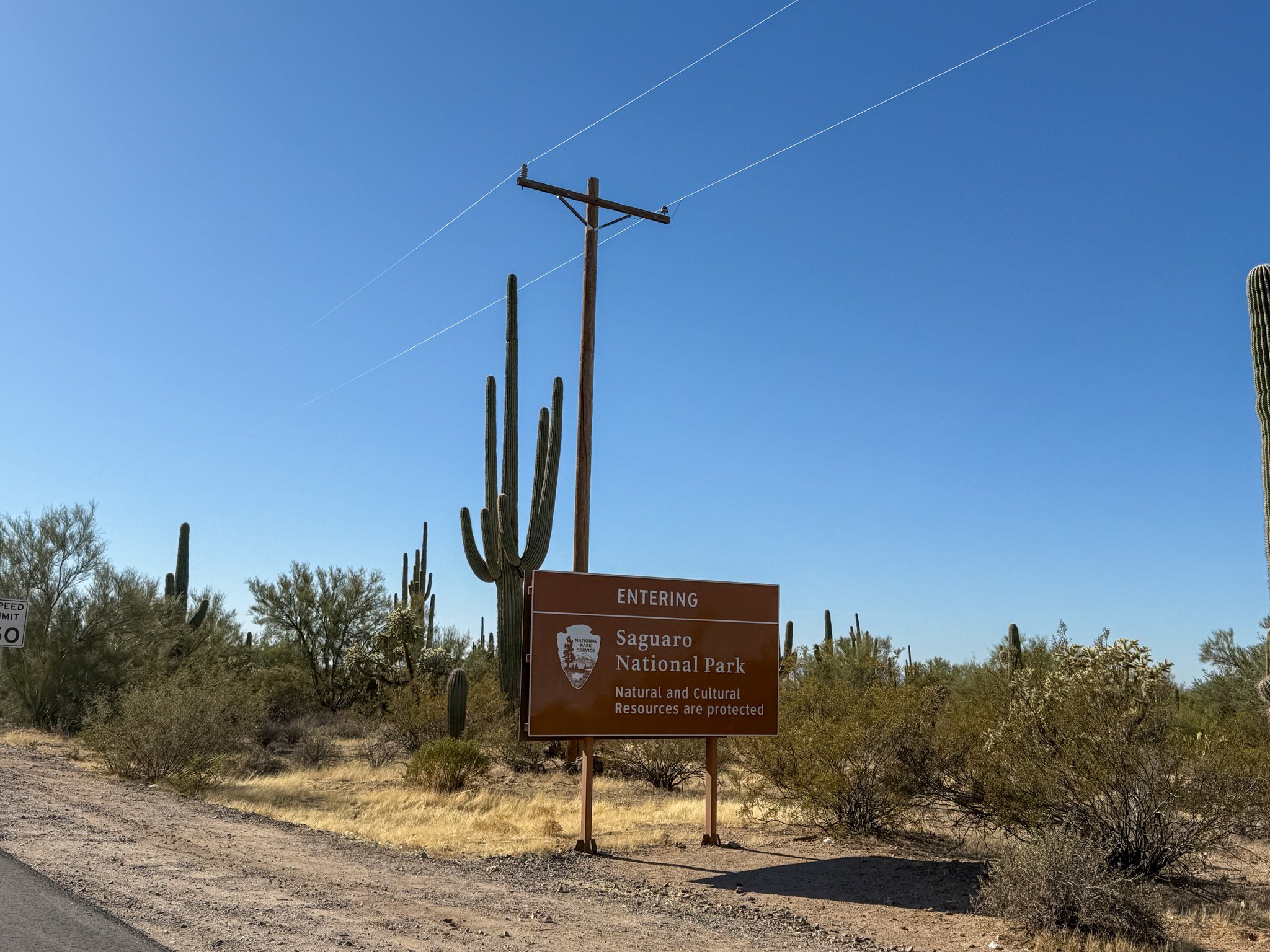 アメリカ旅行記🇺🇸】サワロ編 数百万本のサボテンで埋め尽くされた
