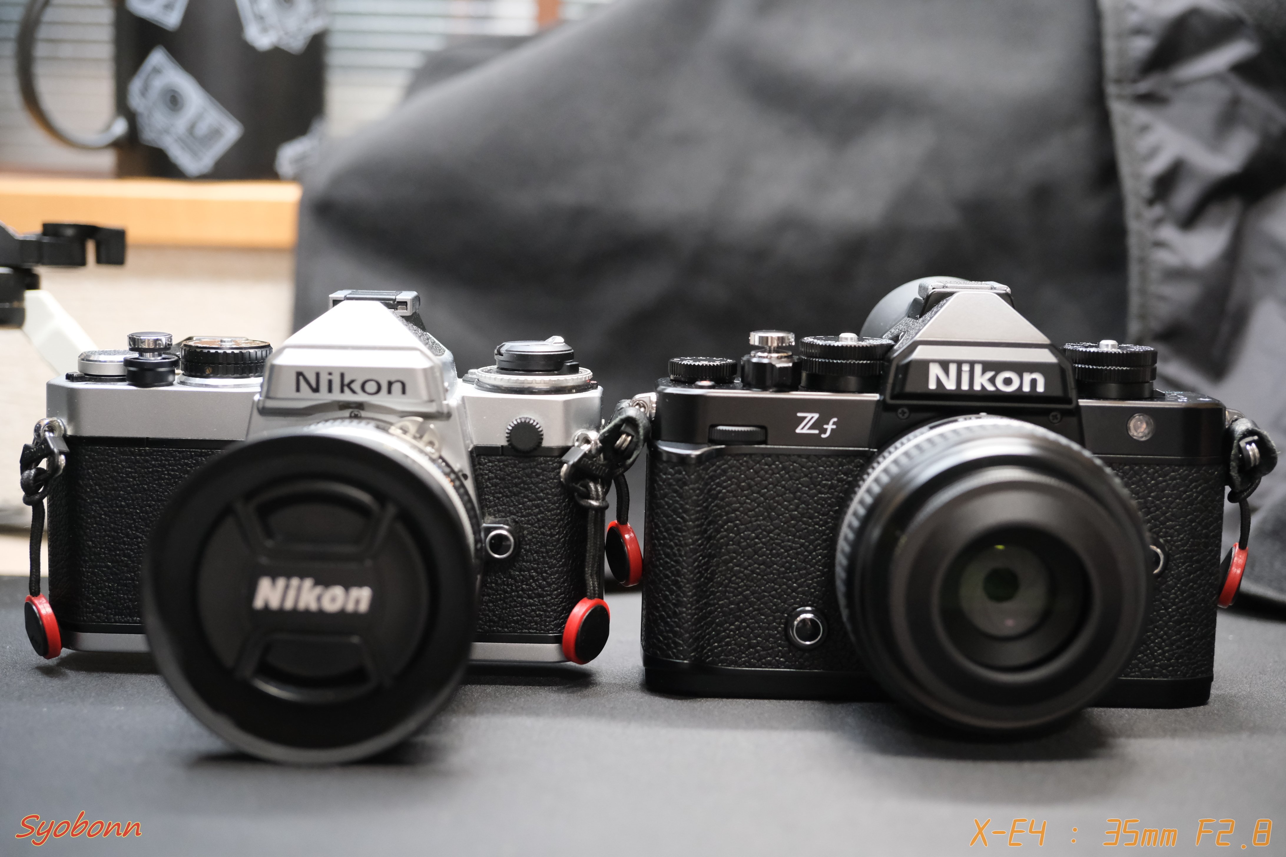 2024年Nikonのカメラとレンズ｜(´・ω・｀)