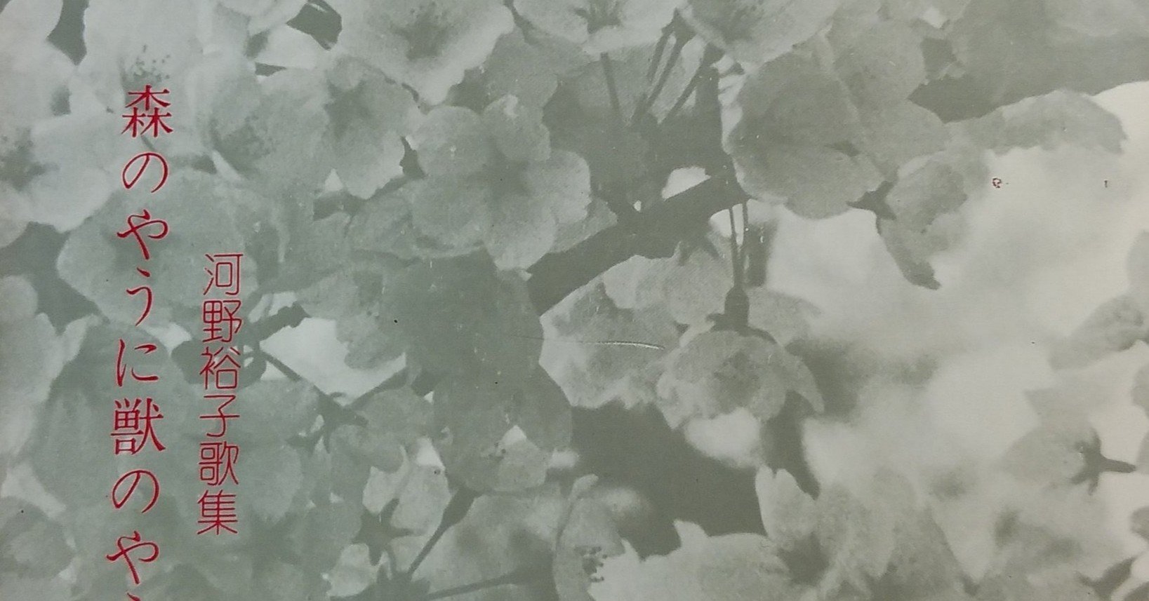 河野裕子『森のやうに獣のやうに』5｜川本千栄