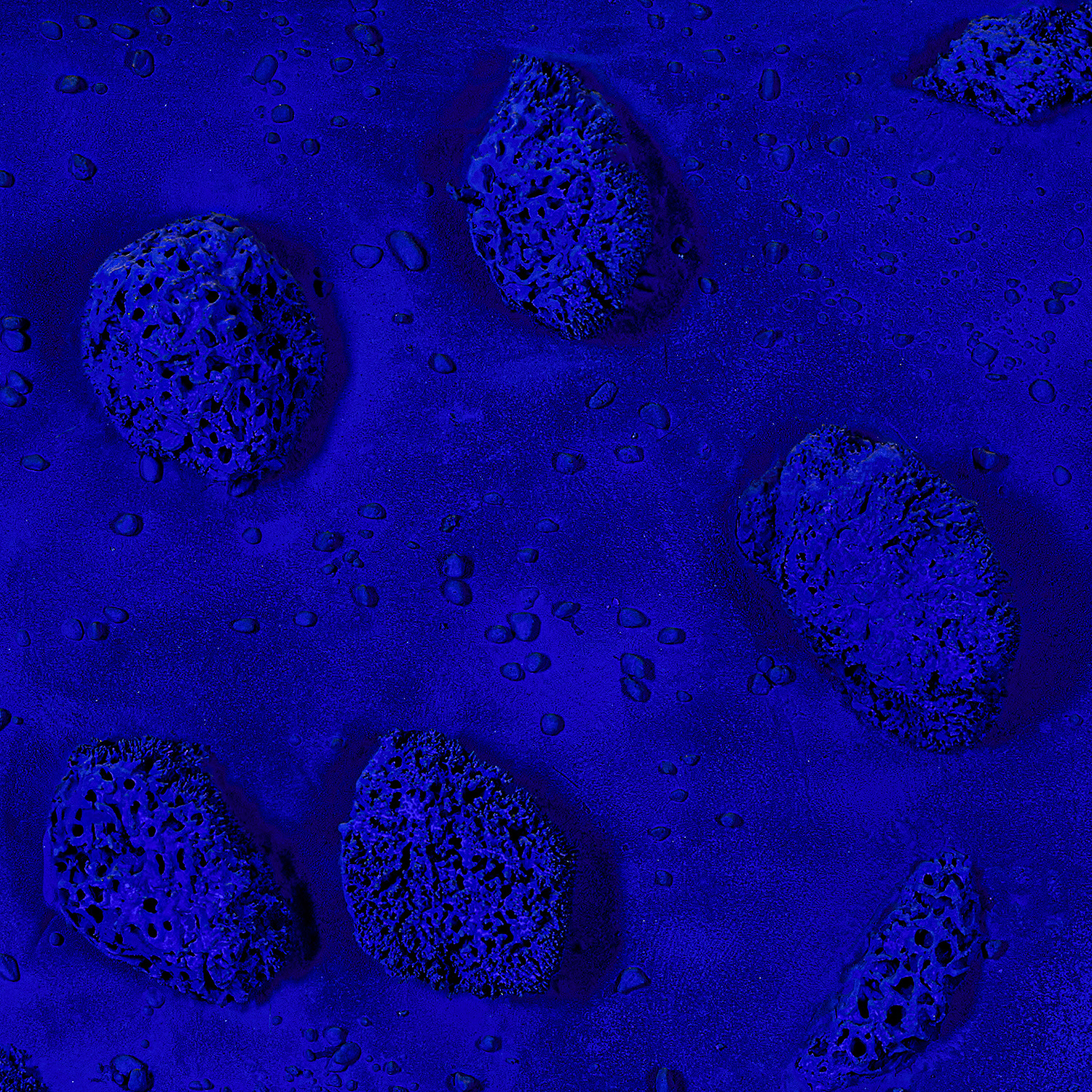 Yves Klein 20th Century & Contemporary Art Evening Sale