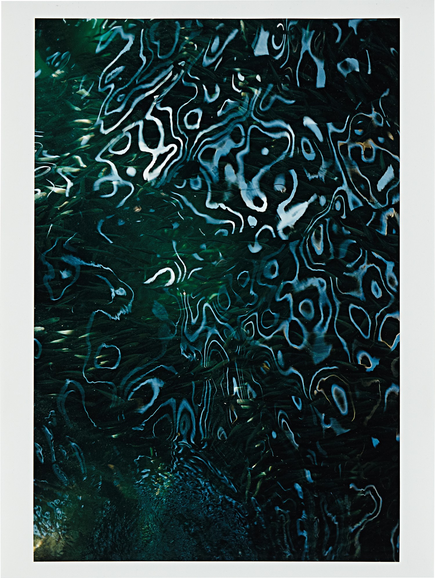 Wolfgang Tillmans 20th Century to Now