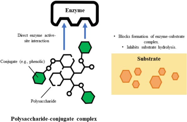 Toward sustainable obesity management: A review of extraction