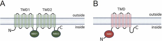 Perspectives on drug repurposing to overcome cancer multidrug