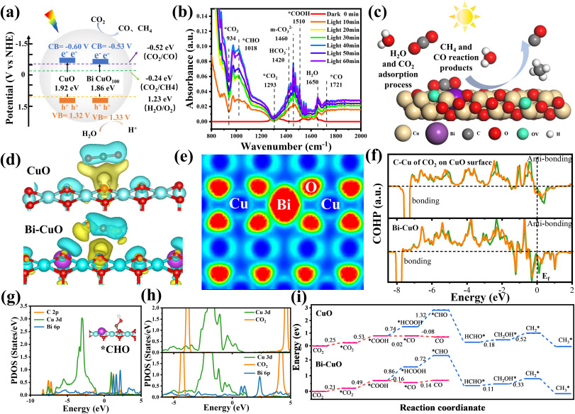 Hyperdispersed and highly stable Bi single atom doped core-shell