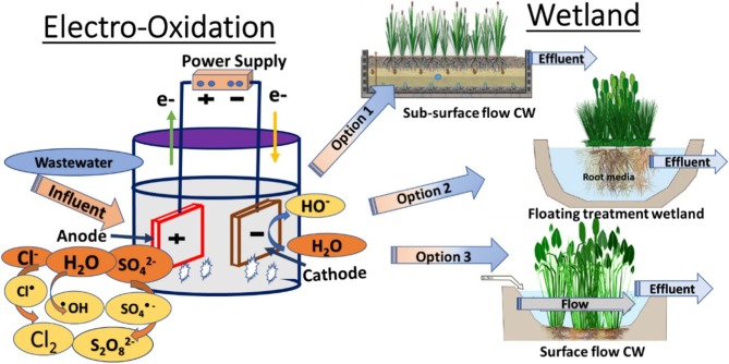 Coupling of electrochemical systems with nature-based solution for