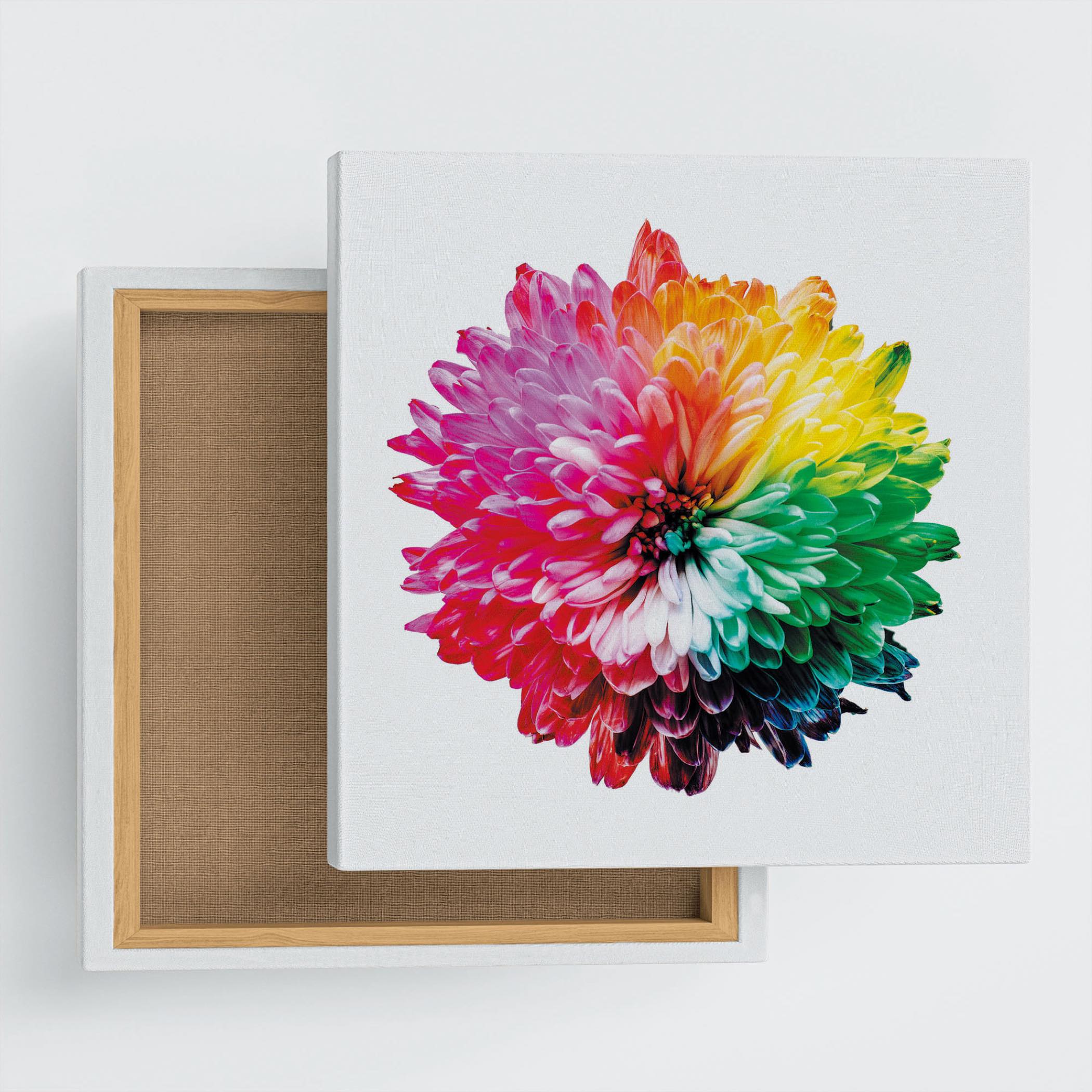 花のアートパネル インテリア雑貨 アートパネル キャンバス カラフル