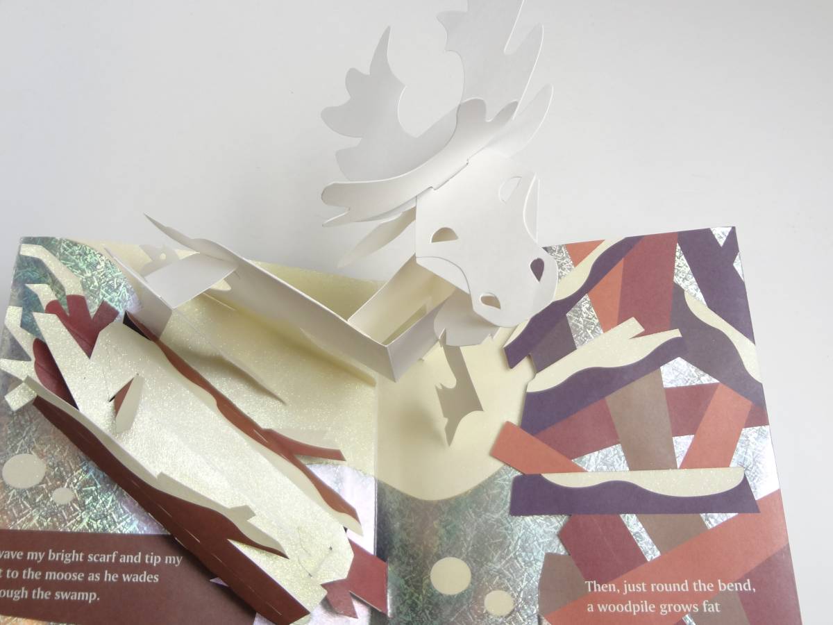 英語】しかけ絵本☆冬ものがたり☆ロバートサブダ☆Winter's Tale