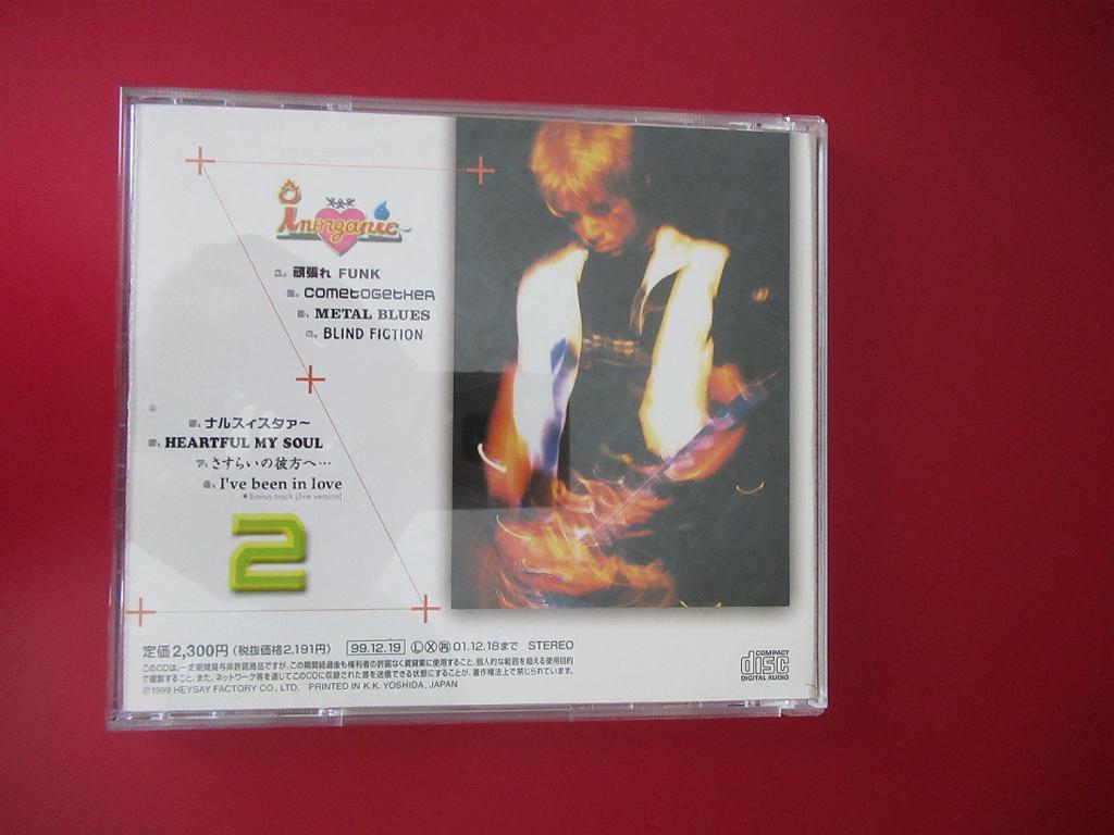 INORGANIC【INORGANIC.2】成田昭次 男闘呼組 CD アルバム