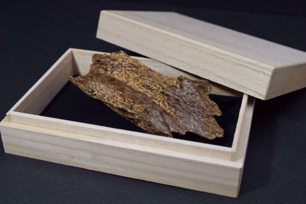 特大 売切☆【極上】ベトナム産 天然沈香 24.2g☆香木 伽羅 agarwood 逸品