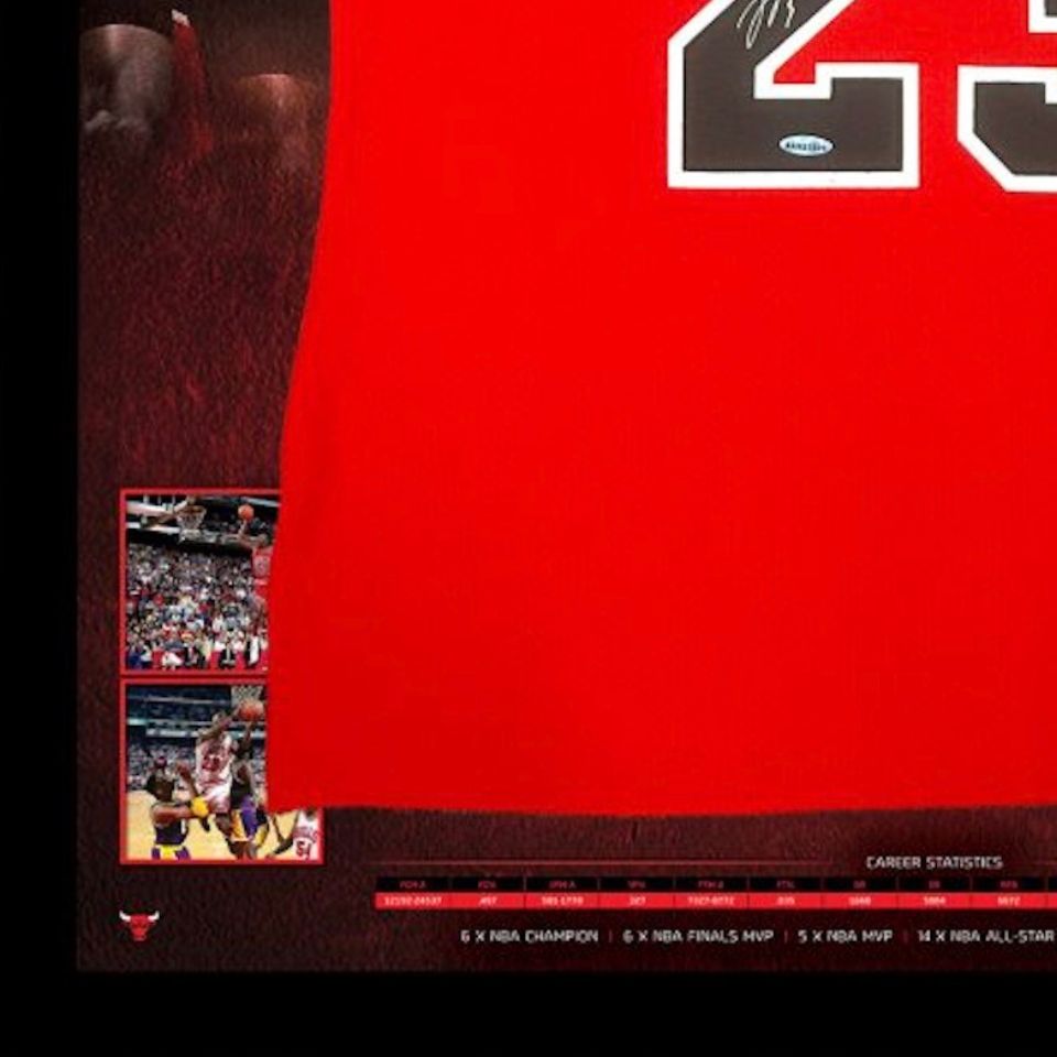 直筆サイン入り】マイケルジョーダン 額入り Mitchell & Ness