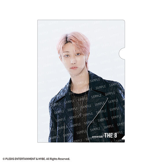 SVTクリアファイルvol.2 From PLEDIS ENTERTAINMENT SEVENTEEN
