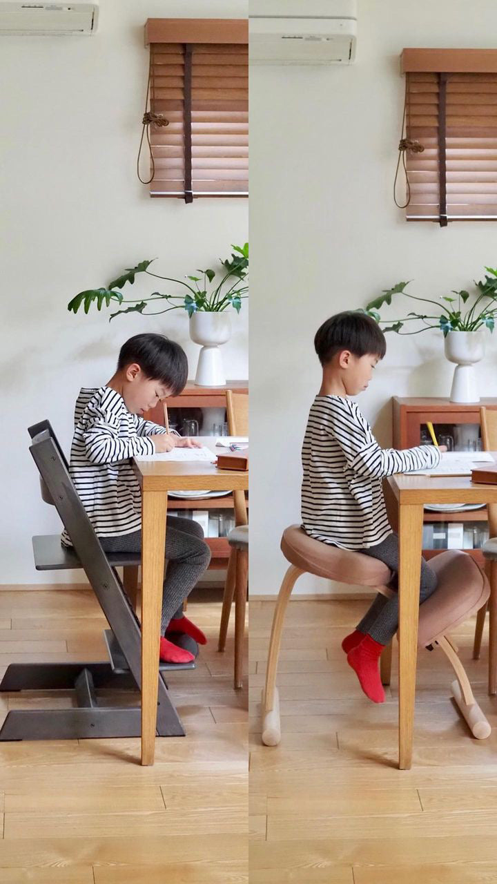 Rybo リボ社 バランスイージー バランスチェア 専用カバー2種 &六角