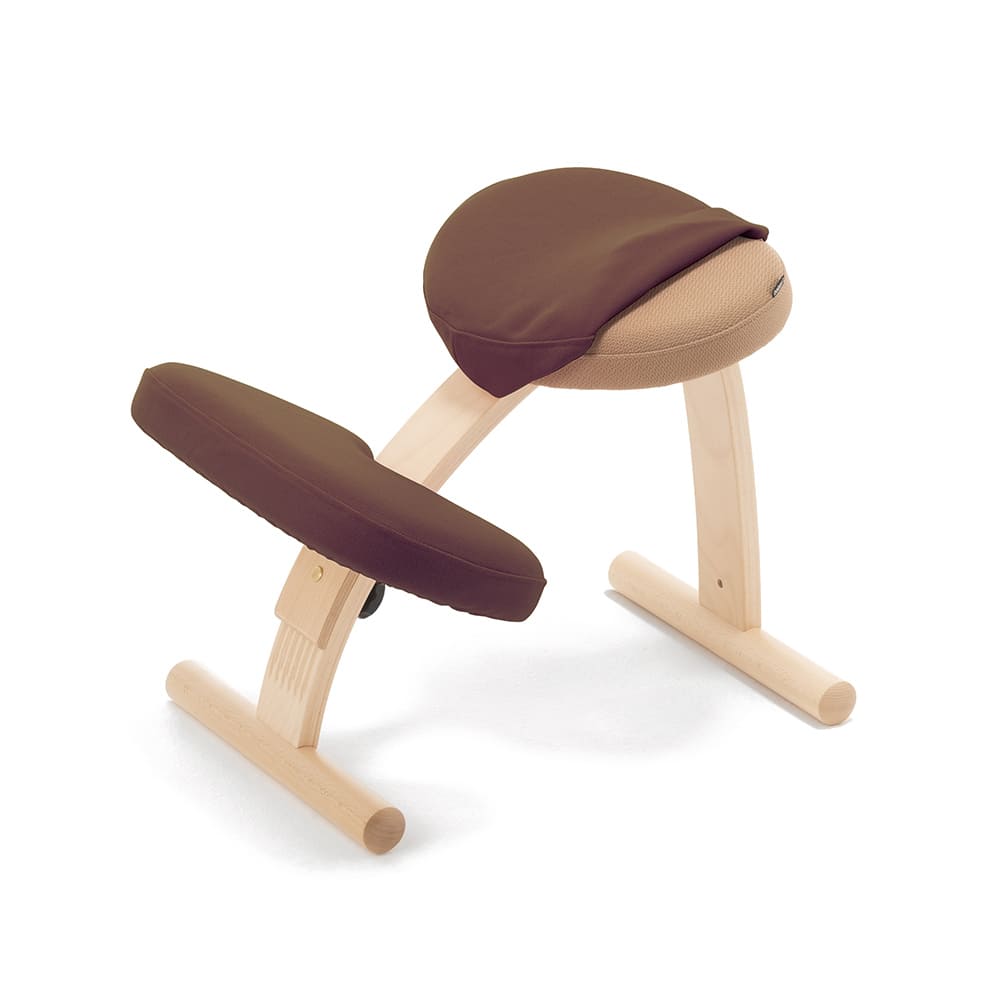 極美品】バランスチェア Balans easy バランスイージー バランスラボ