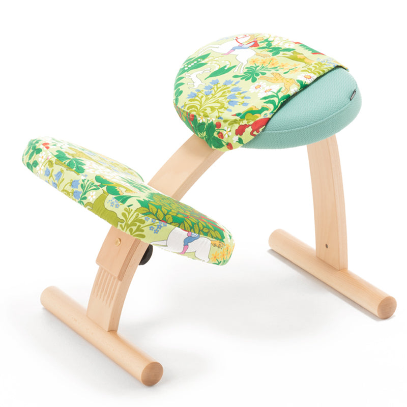 バランス イージー専用｜北欧ファブリックコラボカバー JAKTEN