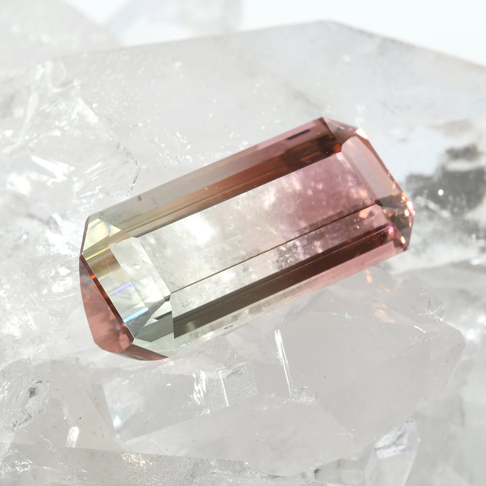 バイカラー・トルマリン 26.066ct #JWS1619 | EBiS GEM