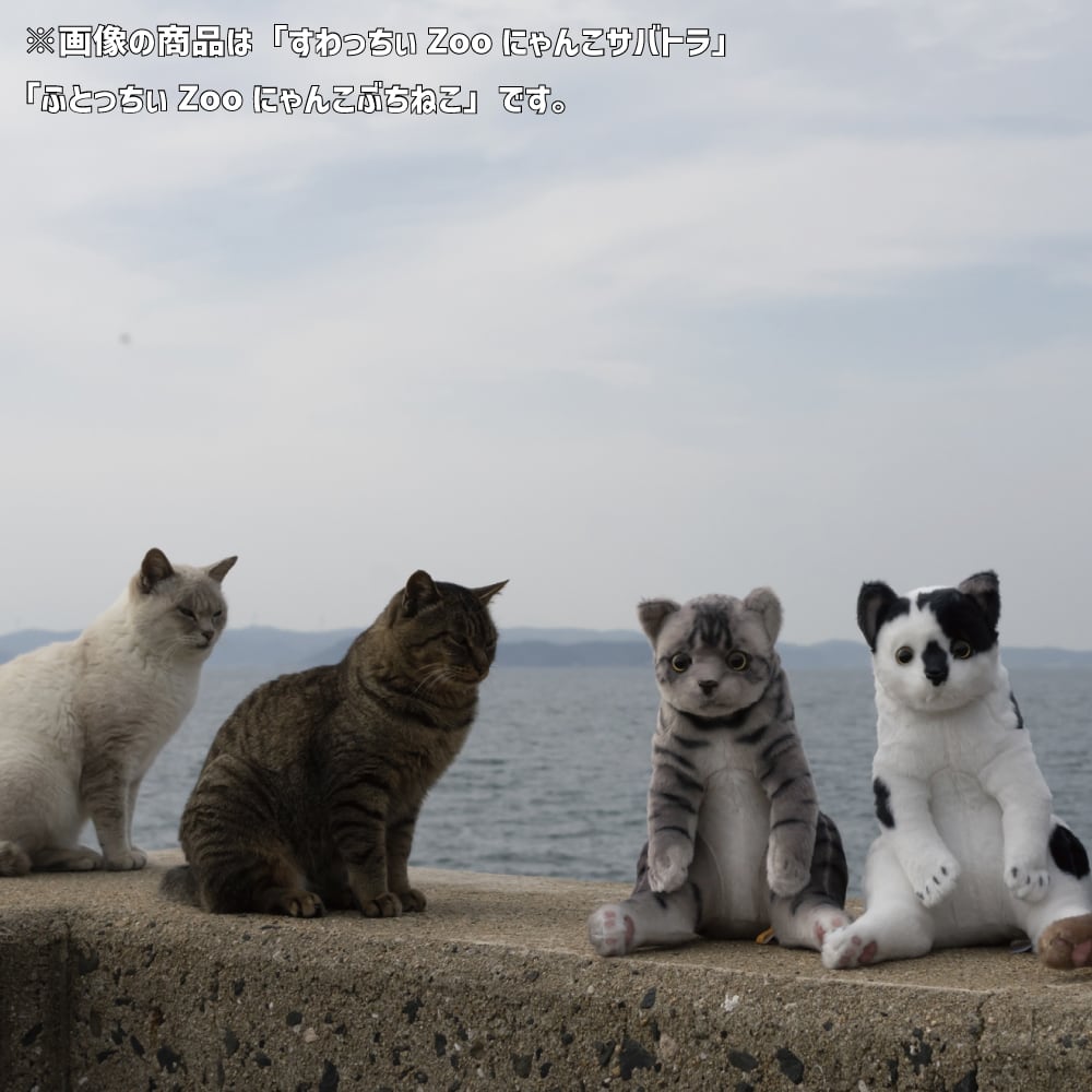 すわっちぃZooにゃんこ シャム猫 | リードのおみせ Catail