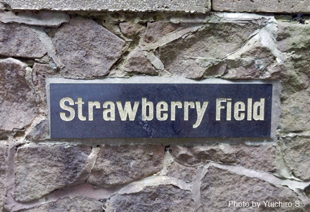 ストロベリー・フィールド | 15 Field