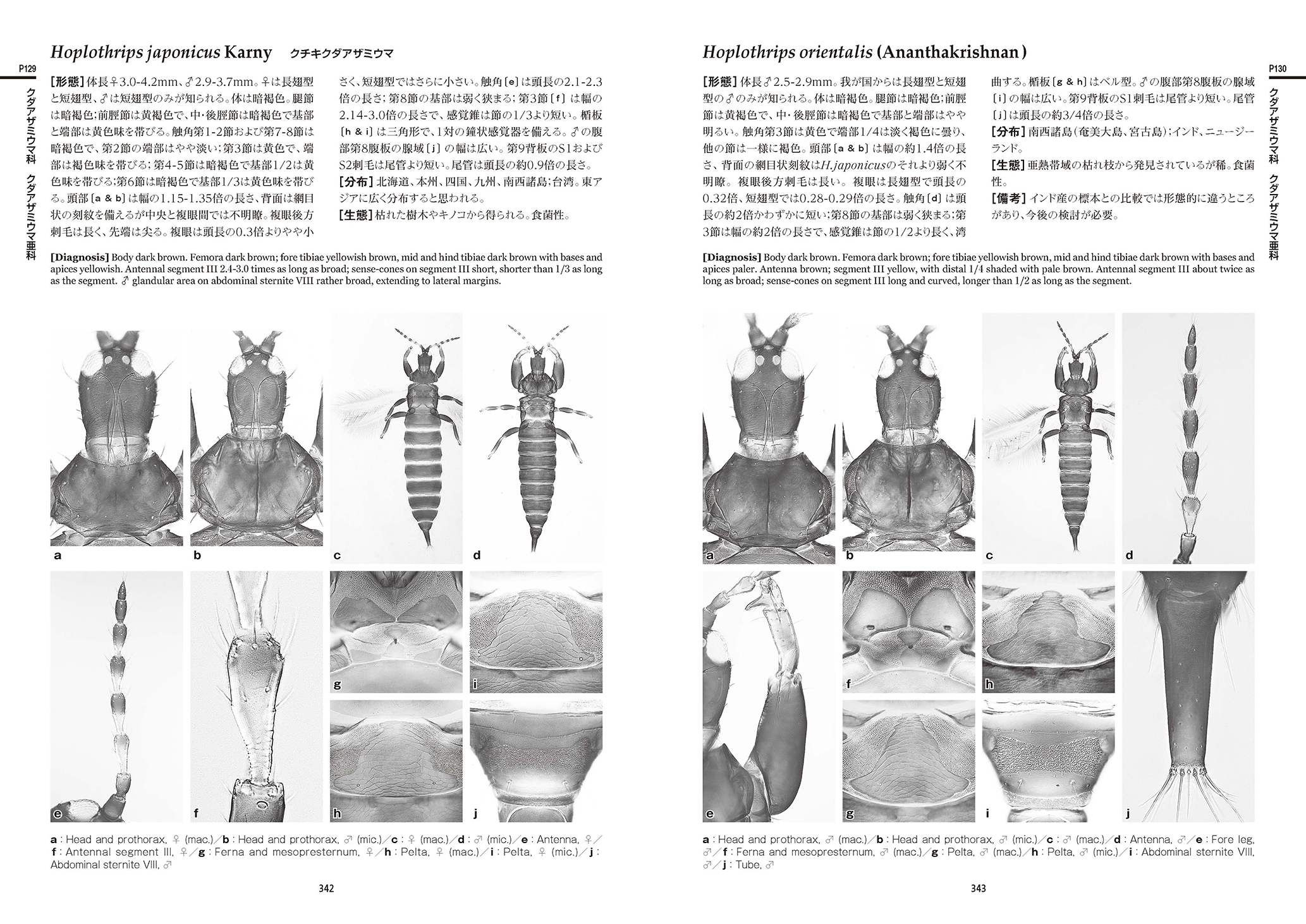 日本原色アザミウマ図鑑 - 全国農村教育協会 出版サイト