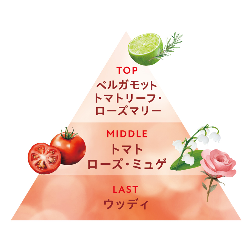 モイスト］シャンプー / トリートメント フルーツトマト＆ローズマリー