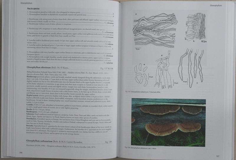 Poroid fungi of Europe 2nd Edition」（ヨーロッパの管孔をもつ菌類